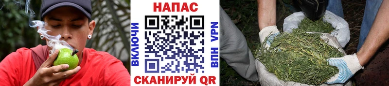 Бошки марихуана индика блэк спрут как зайти Спасск